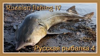 ? Русская рыбалка 4 ✅ Russian fishing IV! ✅ Онлайн трансляция! ✅ Live Streaming! ?
