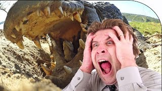 10 САМЫХ БОЛЬШИХ КРОКОДИЛОВ В МИРЕ СНЯТЫХ НА КАМЕРУ