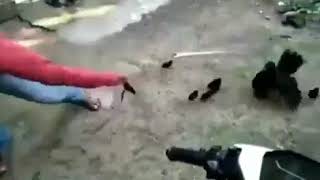 KASUS PENCULIKAN ANAK