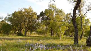 Lick Creek