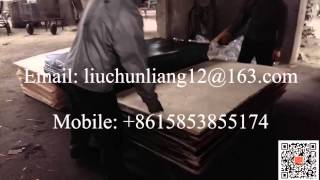 concrete shuttering construction film faced plywood hot press production line