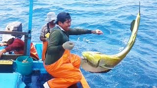 INCREÍBLE PESCA de 40 PERICOS!!【Action full】