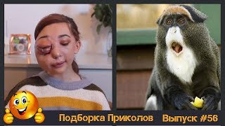 Лучшие приколы 2019 Январь | Тест на психику | ПО ПРИКОЛУ#56? | Свежая подборка