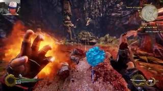 Blood And Gore | Shadow Warrior 2