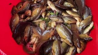 Câu cá rô đồng U Minh "giật một phát là một em" - Xem là mê liền - P2