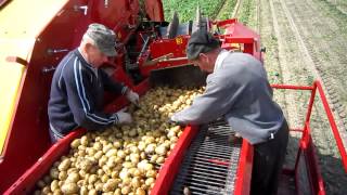 Grimme 75-30