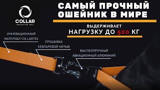Самые прочный ошейник collar