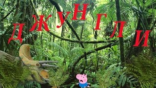 Новый мультик детям Джунгли Пеппа решила проучить Джорджа Смотреть мультфильм Джордж потерялся.