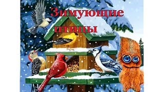 для детей зимующие птицы часть 2