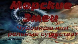 Карадагский змей, кадборозавр и другие. Кого на самом деле видели моряки?