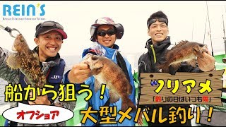 オフショア釣行　前編　「船から狙う！大型メバル釣り！」ツリアメ－釣りの日はいつも雨－レインズ