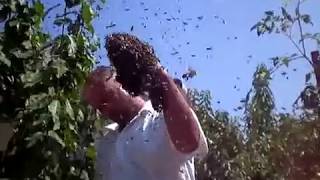ΜΕΛΙΣΣΟΚΟΜΙΑ ΑΦΕΣΜΟΣ Παλαιοχωρι Καβαλας (BEEKEEPING GREECE)