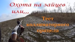 Охота на зайцев, или тест коллиматорного прицела