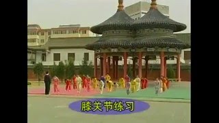 Wushu basic training