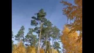 Болота, озера, водопад Беларуси, Миорский район