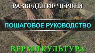 Разведение червей. Вермикультура. Пошаговое руководство. // Олег Карп