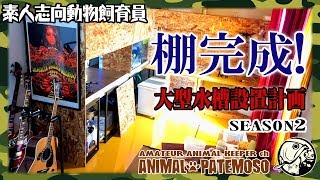 大型水槽設置計画SEASON2#03 「遂に棚が完成したんだよ!」【アクアリウム】【熱帯魚】