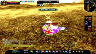Silkroad 140 cap private server Pvp S/S Nuker Fornax Sro