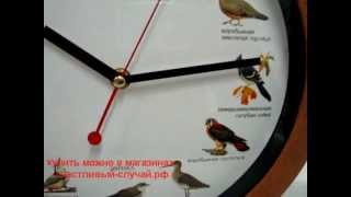 Настенные часы - Птичьи трели