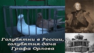 Голубятни в России, голуби турманы, голубятня-дача графа Орлова