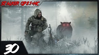 Прохождение  STALKER Народная Солянка + ОП 2.1 - Документы для Акима#30.