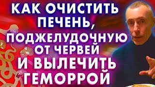 КАК ОЧИСТИТЬ ПЕЧЕНЬ, ПОДЖЕЛУДОЧНУЮ ОТ ГЛИСТОВ И ВЫЛЕЧИТЬ ГЕМОРРОЙ! Вопрос ответ, протрузия, полынь.