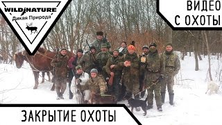 Закриття сезону полювання. Олені. Кабан. Зима 2017