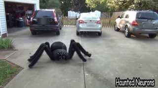 Giant RC Venom Spitting Spider