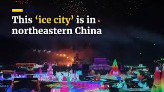 5 Jan to 25 Feb 2020 China Harbin International Ice And Snow Sculpture Festival