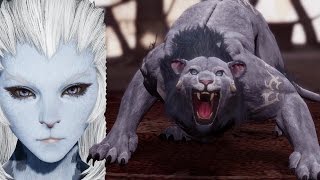Bless Online KR - Pantera Berserker - Starting area gameplay