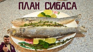 План Сибаса. Рецепт от дяди Коли
