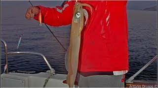 Squid Fishing Ψάρεμα μεγάλων καλαμαριών