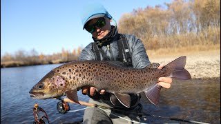 Ловля ленка нахлыстом / Lenok fly fishing.