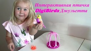 Интерактивная птичка DigiBirds Джульетта