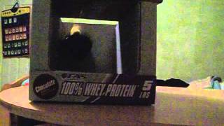 Angry Bird Test- Black Angry Bird