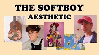 The Softboy Aesthetic // Find Your Aesthetic  #8
