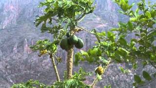 Copper Canyon (#3): Batopilas Canyon