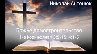 Божье домостроительство - Николай Степанович Антонюк