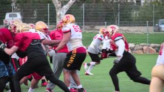 Argonautes vs Dauphins teaser match 2016