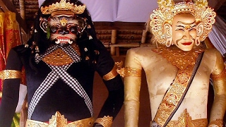 Barong landung, heboh banget kerauhan(ngamuk)