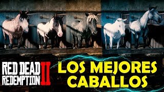 ?TOP #7 - MEJORES CABALLOS DEL JUEGO?‍?VELOCIDAD, FUERZA?Red dead redemption 2 ONLINE!!✔