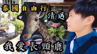 ｜所以我說｜泰國清邁自由行 離長頸鹿超級近！！！夜間動物園 Part 1