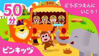 あつまれ ピンキッツ★どうぶつえん | どうぶつえんにいこう！ | どうぶつを学ぶ | 子どもの歌 | 童謡 | ピンキッツPINKFONG