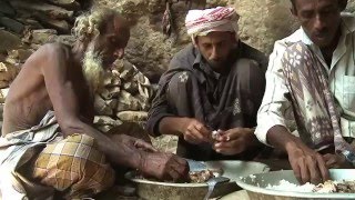 Неизвестная планета. Сокотра – неизвестная сказка, часть 2