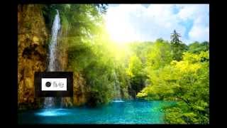 Relaxing Music ( Instrumental Guitar )