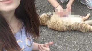 Это не люди!!! Очередные живодёры из Подмосковья