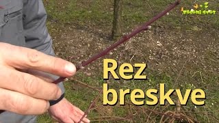 Rez breskve