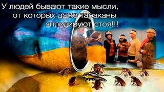 Маразм крепчает. Новый бред Украинских СМИ