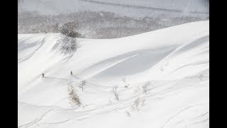 Japow