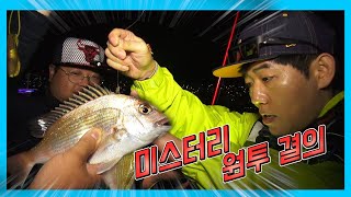 [미스터리원투] 원투낚시 - 부산 남항방파제 (일명: 빨간등대  빨등) - 이곳은 참돔, 감성돔, 보리멸, 붕장어, 학공치가 낚이는 곳 - 제발 이것만은 지킵시다.